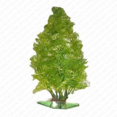 Aqua Plants Jungle Pods